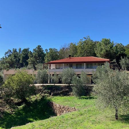 Casa Do Olival Villa Tarouca Екстериор снимка