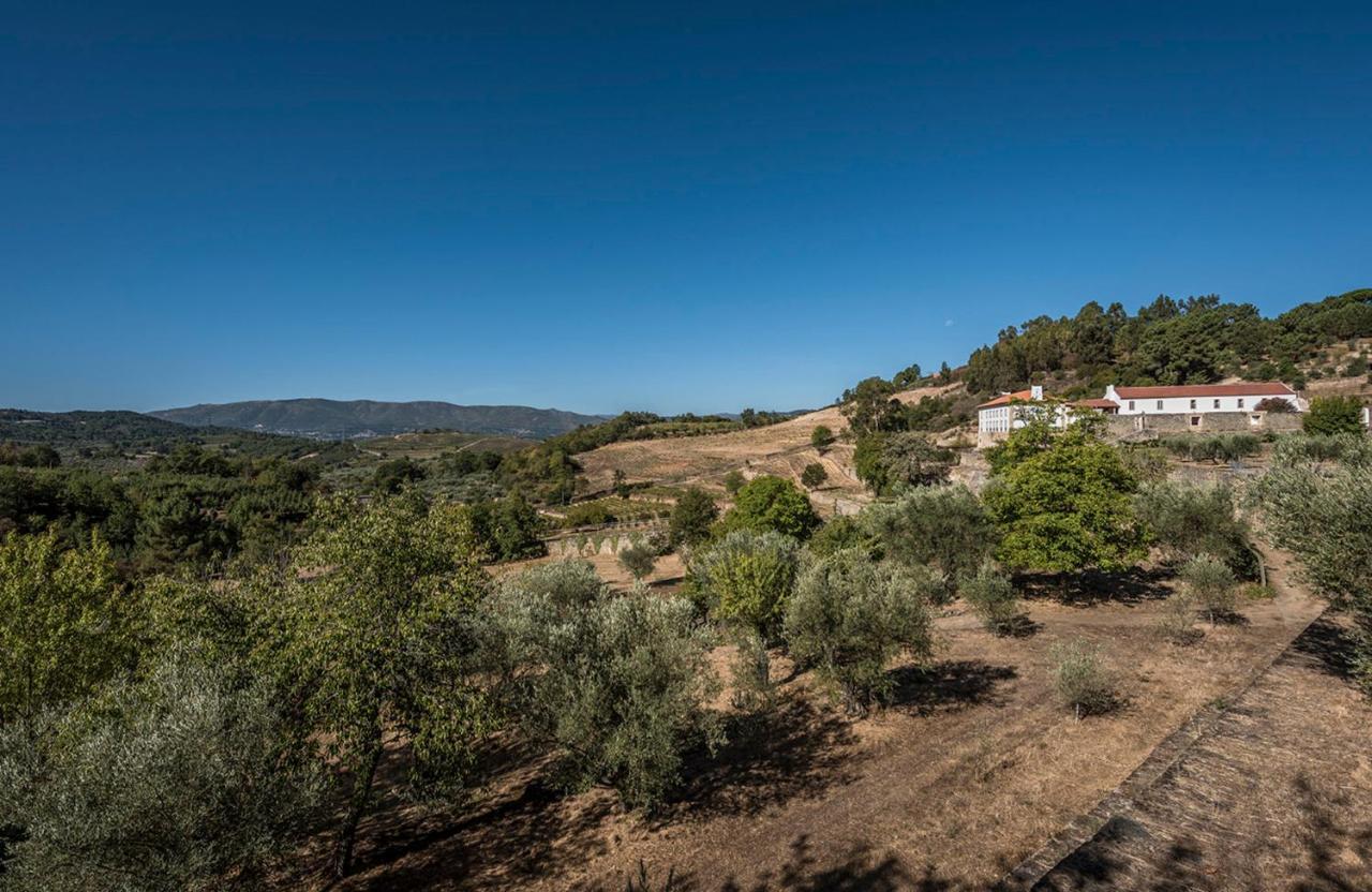 Casa Do Olival Villa Tarouca Екстериор снимка